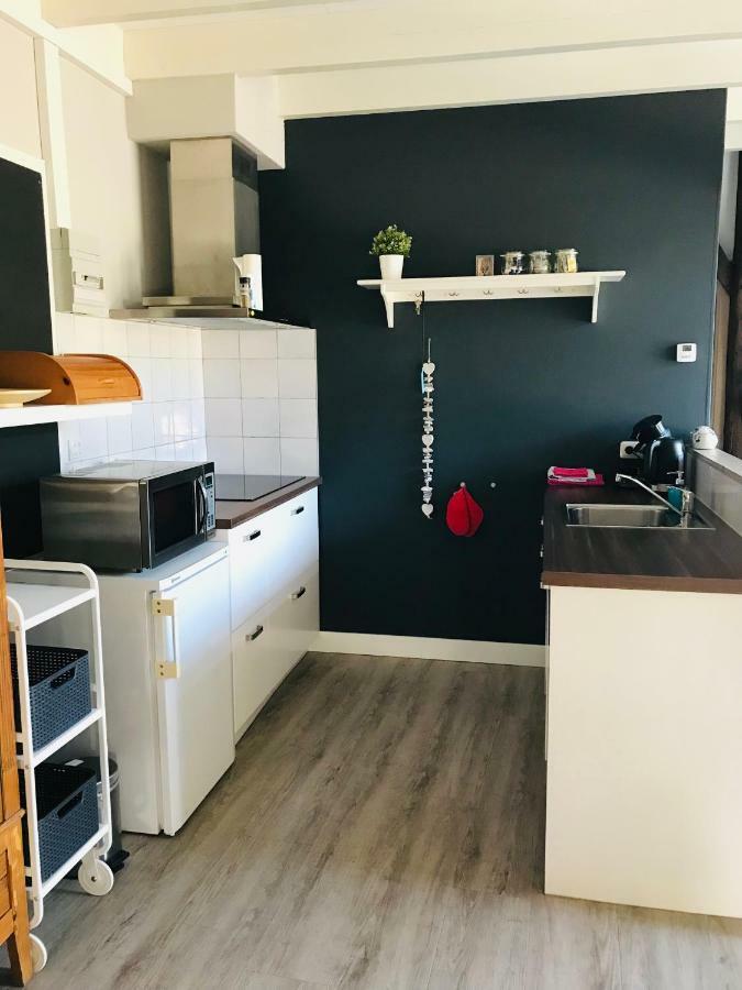 Het Achterhuis - Buitenplaats Ruitenveen, Prive! Nieuwleusen Екстериор снимка